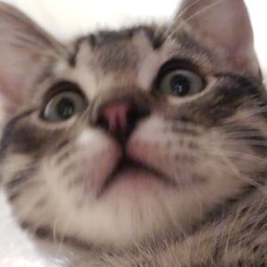 Meet your Posher, Jillian